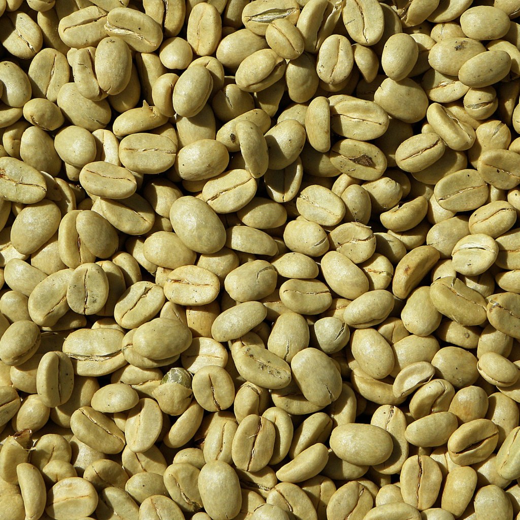 Picture of: Africa  Ethiopia – Sidamo  Green Beans (unroasted)