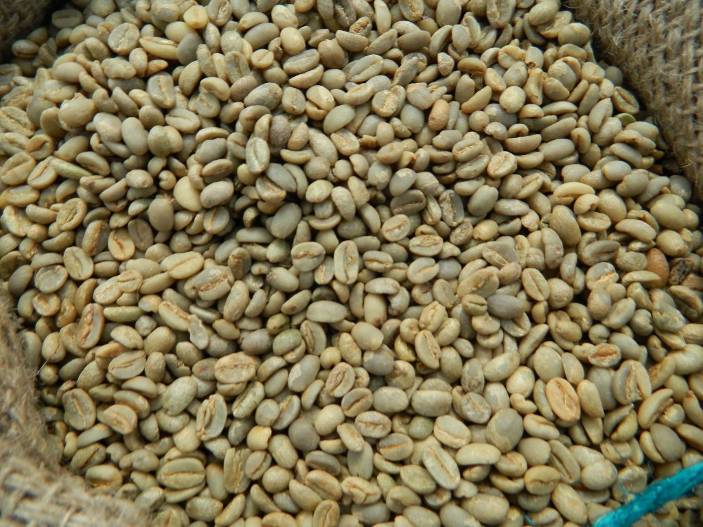 Picture of: Ethiopia Harrar Longberry Natural G Coffee