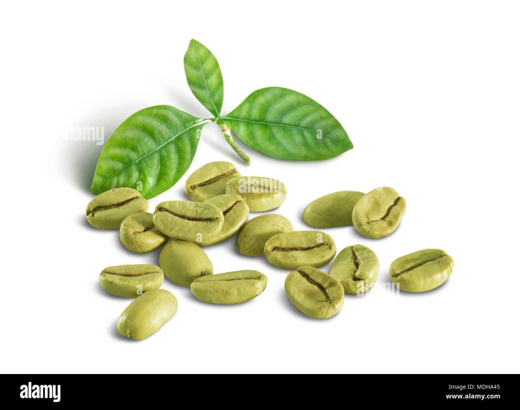 Picture of: Green coffee beans with a cluster of green leaves on a white