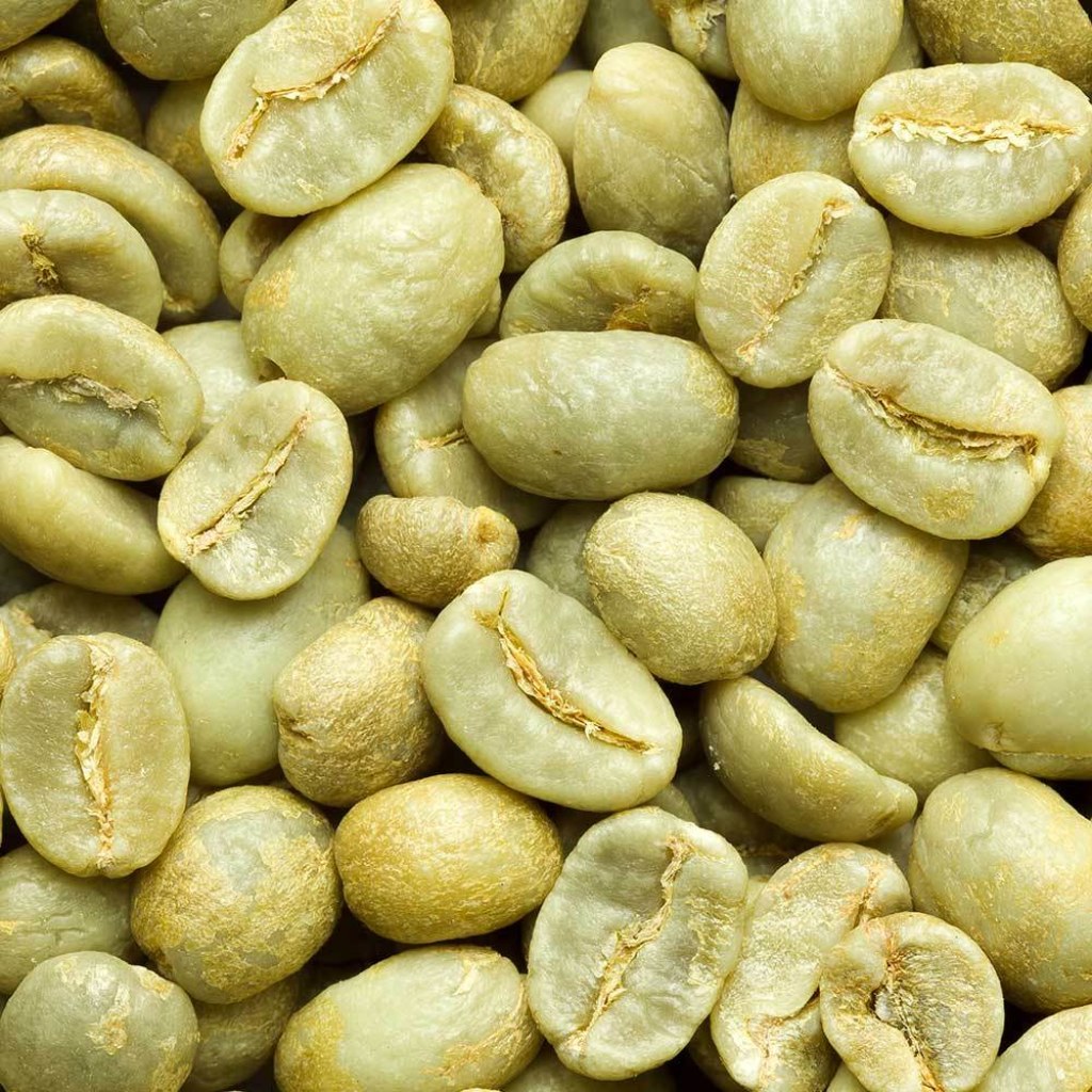 Picture of: Green Coffee – Colombia (Organic & Fair Trade) Coffee Beans