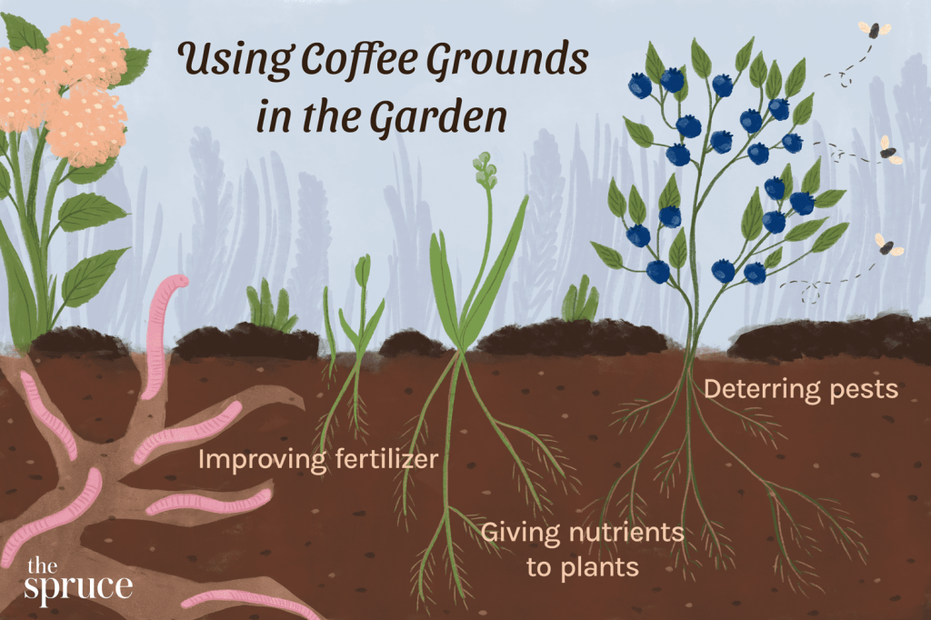 Picture of: Using Coffee Grounds for Plants: Coffee in Compost and Fertilizer