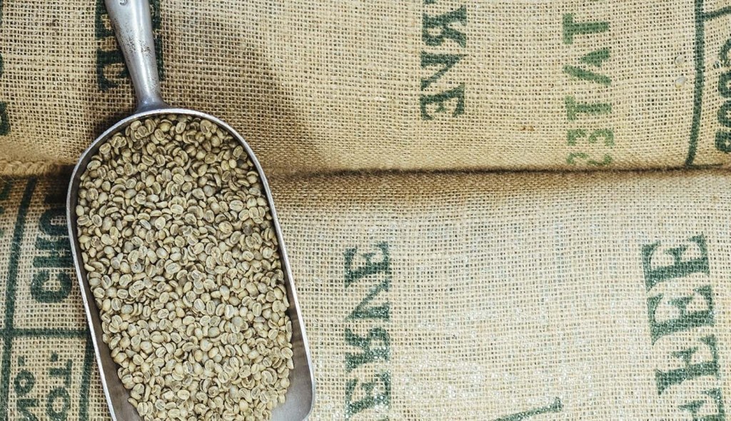 Picture of: What are Green Coffee Beans?  Starbucks® Coffee at Home